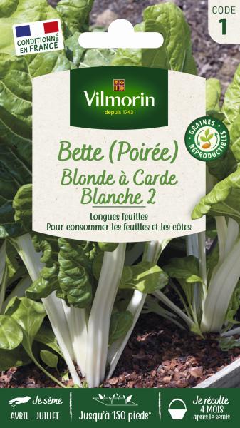Potagères - Poirée Blonde à Carde Blanche 2 - PACKAGING_RECTO